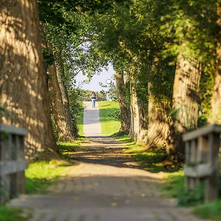 5 Sterne Boddenidylle-modernes Juwel Zwischen Ostsee Und Bodden Apartamento *
